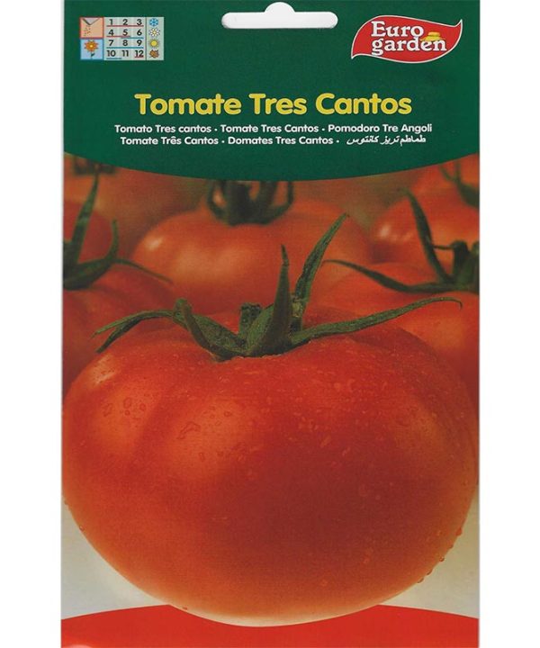 Euro Garden Tomato Tres Cantos
