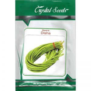 Crystal Beans Disha Premium Quality Seeds