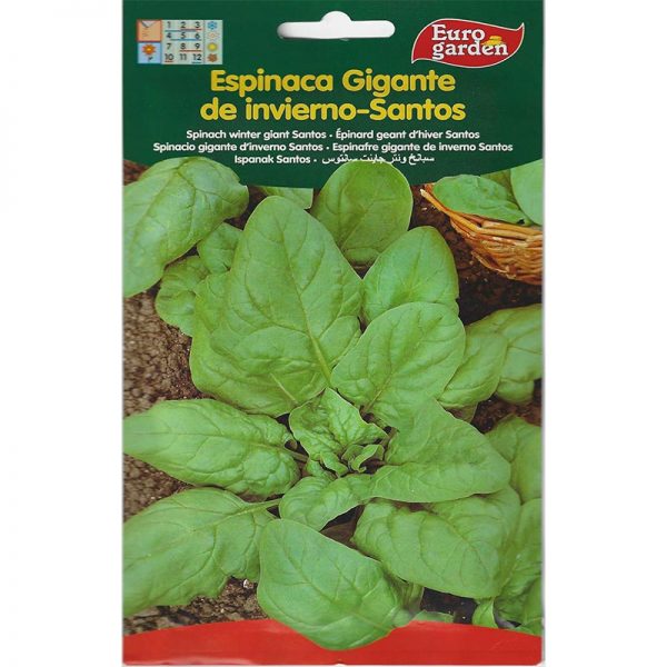 Euro Garden Viking Spinach