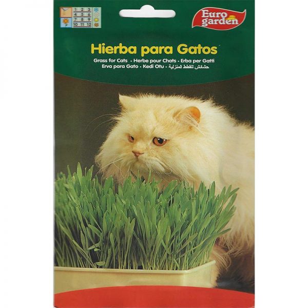 Euro Garden Cat Grass