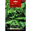 Agrimax Green Mallow