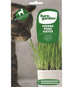 Euro Garden Cat Grass (Hierba Para Gatos) Premium Quality Seeds (Made in Spain) by EuroGarden