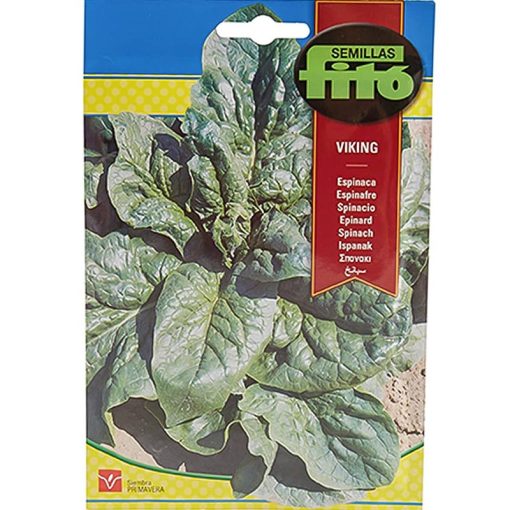 Fito Spinach Viking Premium Quality Seeds