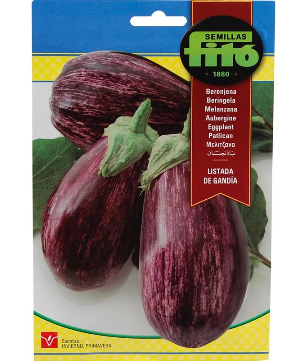 Fito Eggplant Purple Premium Quality Seeds