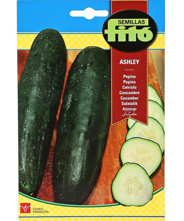 Fito Cucumber Ashley Premium Quality Seeds