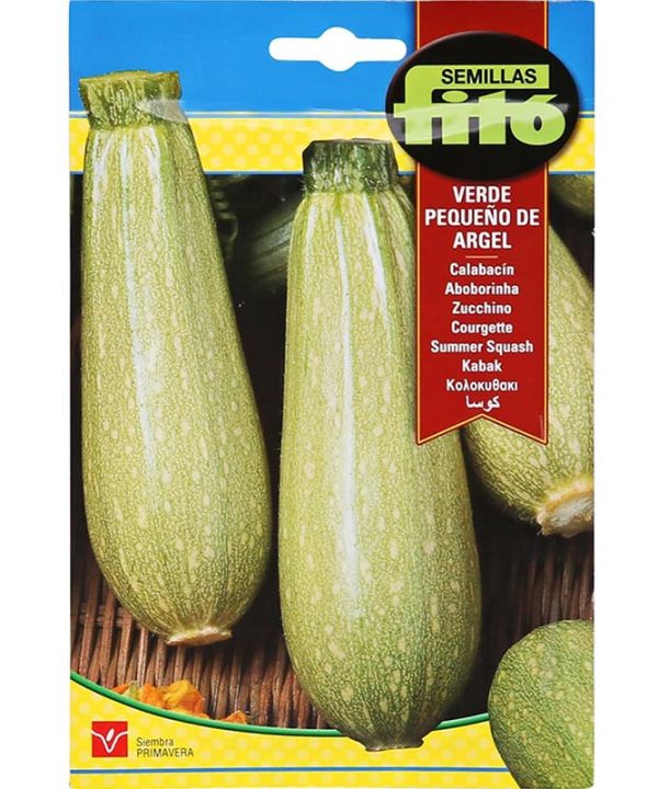 Fito Summer Squash Verde Pequeno De Argel Premium Quality Seeds