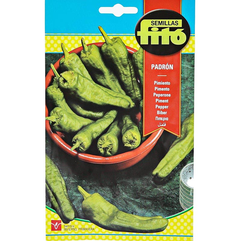 Fito Pepper Padron Premium Quality Seeds