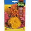 Fito Chrysanthemum Premium Quality Seeds