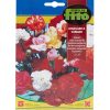 Fito Carnation Marguerite Premium Quality Seeds