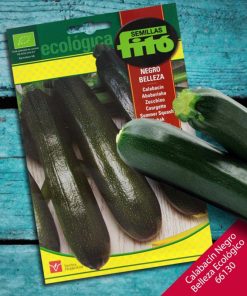 Fito Ecologica Organic Summer Squash Black Beauty Premium Quality Seeds