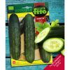 Fito Ecologica Organic Cucumber Marketer Premium Quality Seeds