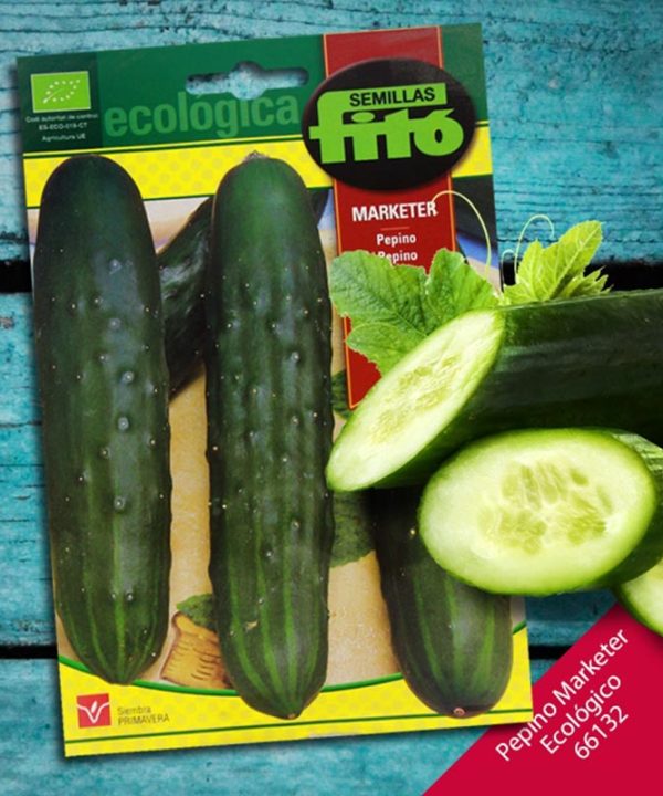 Fito Ecologica Organic Cucumber Marketer Premium Quality Seeds