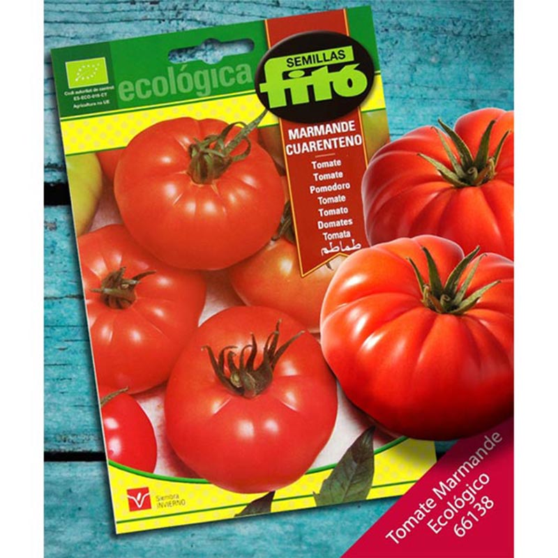 Fito Ecologica Organic Marmande Cuarenteno Tomato Premium Quality Seeds