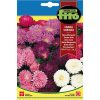 Fito Aster Dwarf Queen Mixed Premium Quality Seeds