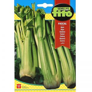 Fito Celery Pascal Premium Quality Seeds