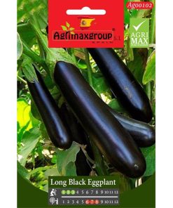 Agrimax Black Eggplant Premium Quality Seeds