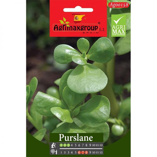 Agrimax Purslane Premium Quality Seeds