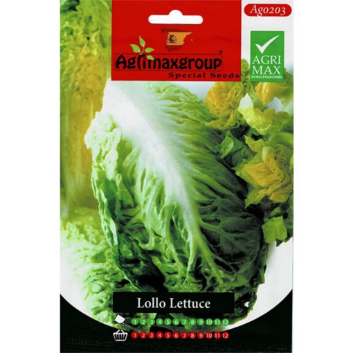Agrimax Lollo Lettuce Premium Quality Seeds