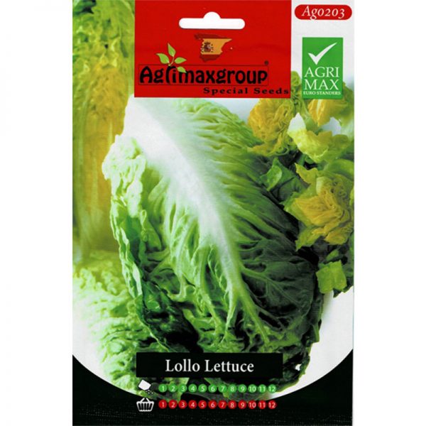 Agrimax Lollo Lettuce Premium Quality Seeds