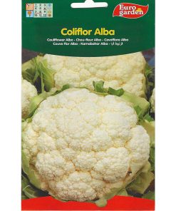 Euro Garden Cauliflower Alba Premium Quality Seeds