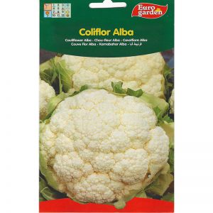 Euro Garden Cauliflower Alba Premium Quality Seeds