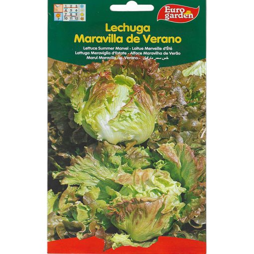 Euro Garden Lettuce Summer Marvel Premium Quality Seeds