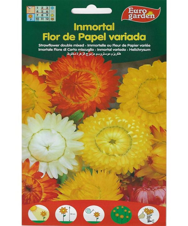 Euro Garden Sunflower Double Mix Premium Quality Seeds