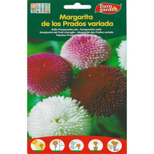 Euro Garden Bellis Pomponette Mix Premium Quality Seeds