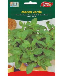 Euro Garden Green Mint Premium Quality Seeds