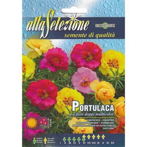 Alta Selezione Portulaca Premium Quality Seeds