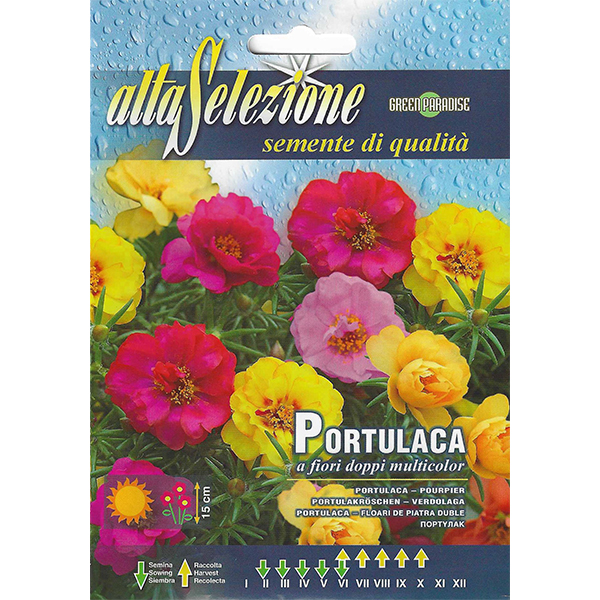 Alta Selezione Portulaca Premium Quality Seeds