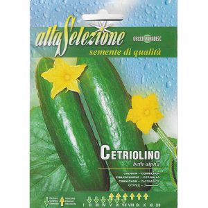 Alta Selezione Cucumber Premium Quality Seeds