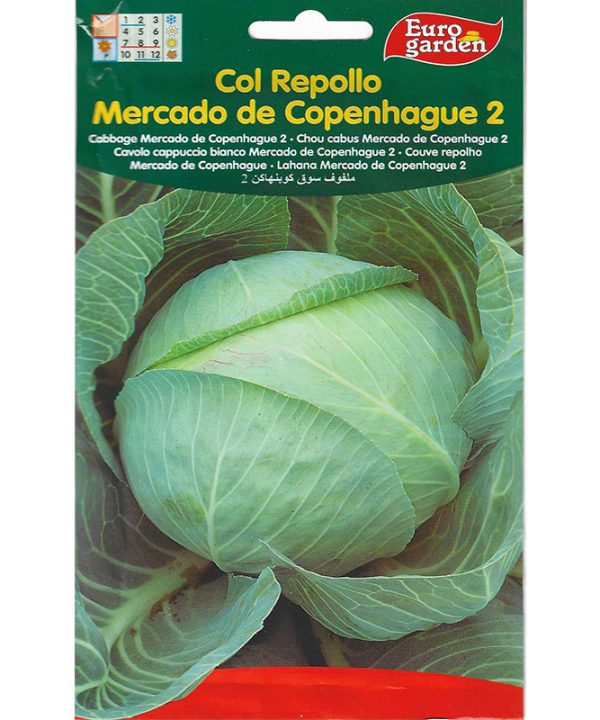 Euro Garden Cabbage Mercodo De Copenhague 2 Premium Quality Seeds