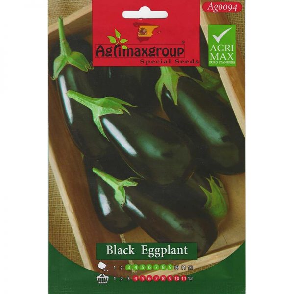 Agrimax Black Eggplant Premium Quality Seeds