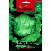 Agrimax Iceberg Lettuce Premium Quality Seeds