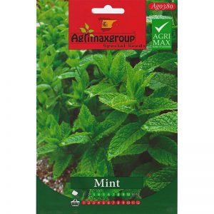 Agrimax Mint Premium Quality Seeds