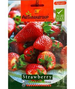 Agrimax Strawberry Premium Quality Seeds