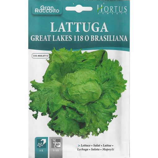 Hortus Lettuce Wide Oval Intense Green Leaves With Dentellated Edges and Ribs. Large Crunchy Head. Slow to Go to Seed. Brand – Hortus Sementi Made in Italy