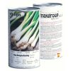 Agrimax Onion Evergreen Bunching Premium Quality Seeds (Made in Spain) by AgrimaxgroupÂ®