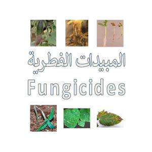 Fungicide