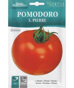 Hortus Tomato Premium Quality Seeds