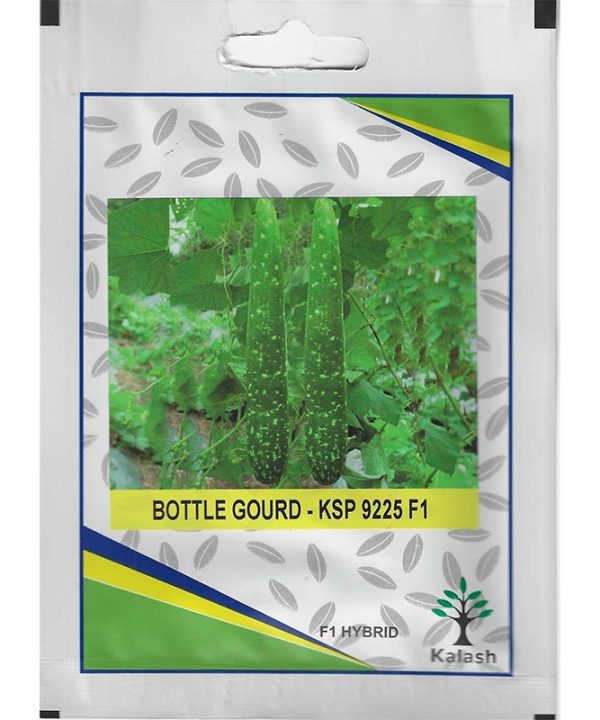 Kalash Bottle Gourd KSP 9225 F1 Hybrid Premium Quality Seeds