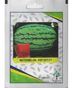Kalash Watermelon KSP 9273 F1 Hybrid Premium Quality Seeds