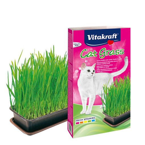 Vitakraft Cat Grass Seed Kit