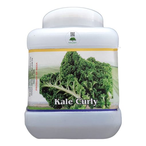 Kale Curly Premium Quality Seeds