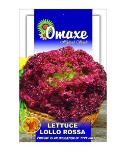 Omaxe Hybrid Seeds Lollo Rossa Premium Quality Seeds