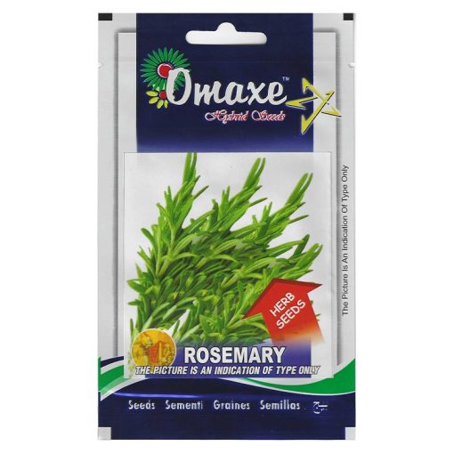 Omaxe Hybrid Seeds Rosemary Premium Quality Seeds