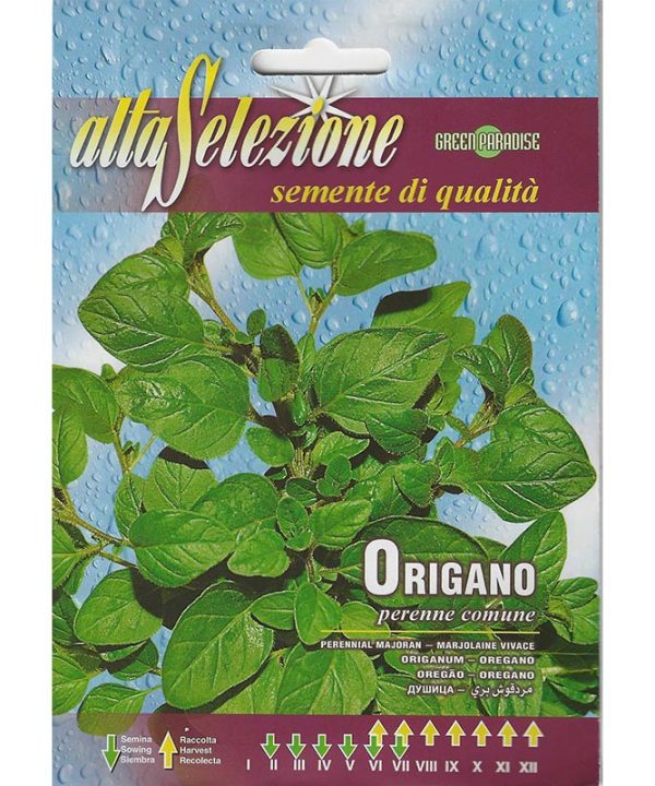 Alta Selezione Oregano Premium Quality Seeds