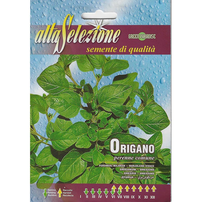 Alta Selezione Oregano Premium Quality Seeds