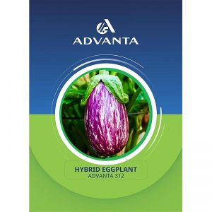 ADVANTA 312 Hybrid Eggplant Premium Quality Seeds